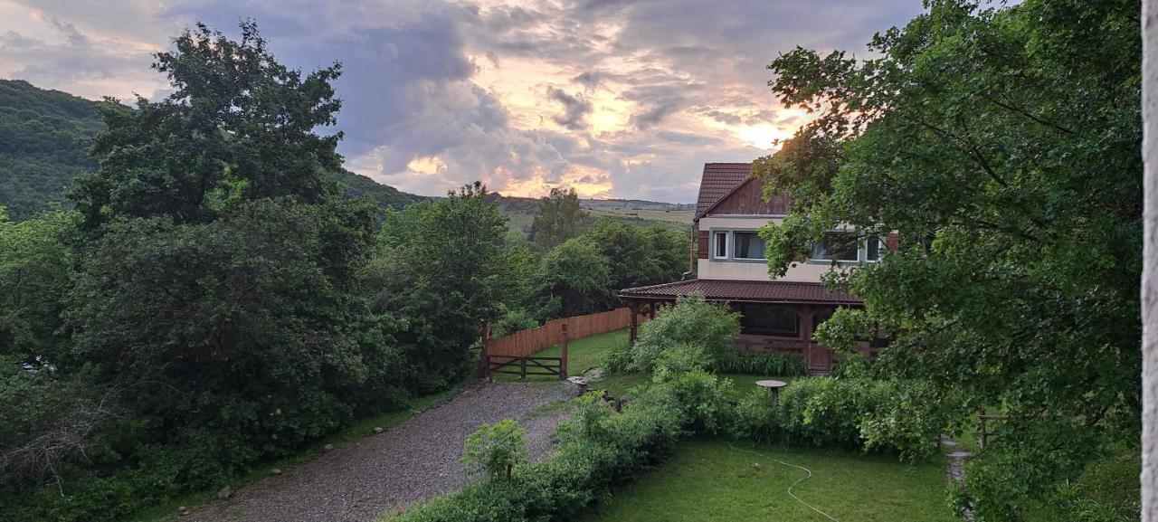 Parkside Vila Одорхею-Секуйеск Экстерьер фото